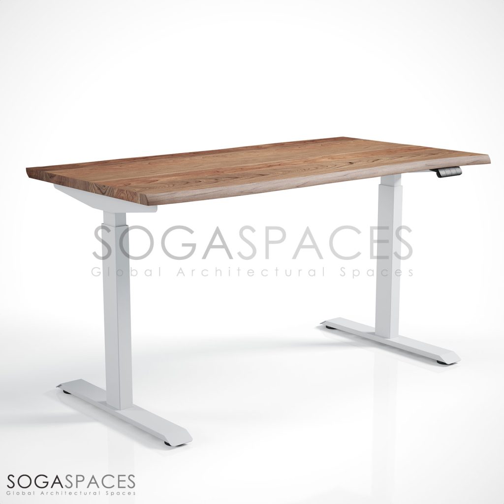 Regula Desk Solid N - Elektrikli Yüksekliği Ayarlanabilir Natürel Kenar Masif Ceviz Çalışma Masası
