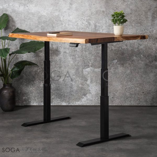 Regula Desk Solid N - Elektrikli Yüksekliği Ayarlanabilir Natürel Kenar Masif Ceviz Çalışma Masası