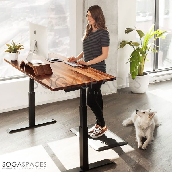 Regula Desk Solid S - Elektrikli Yüksekliği Ayarlanabilir Düz Kenar Masif Ceviz Çalışma Masası