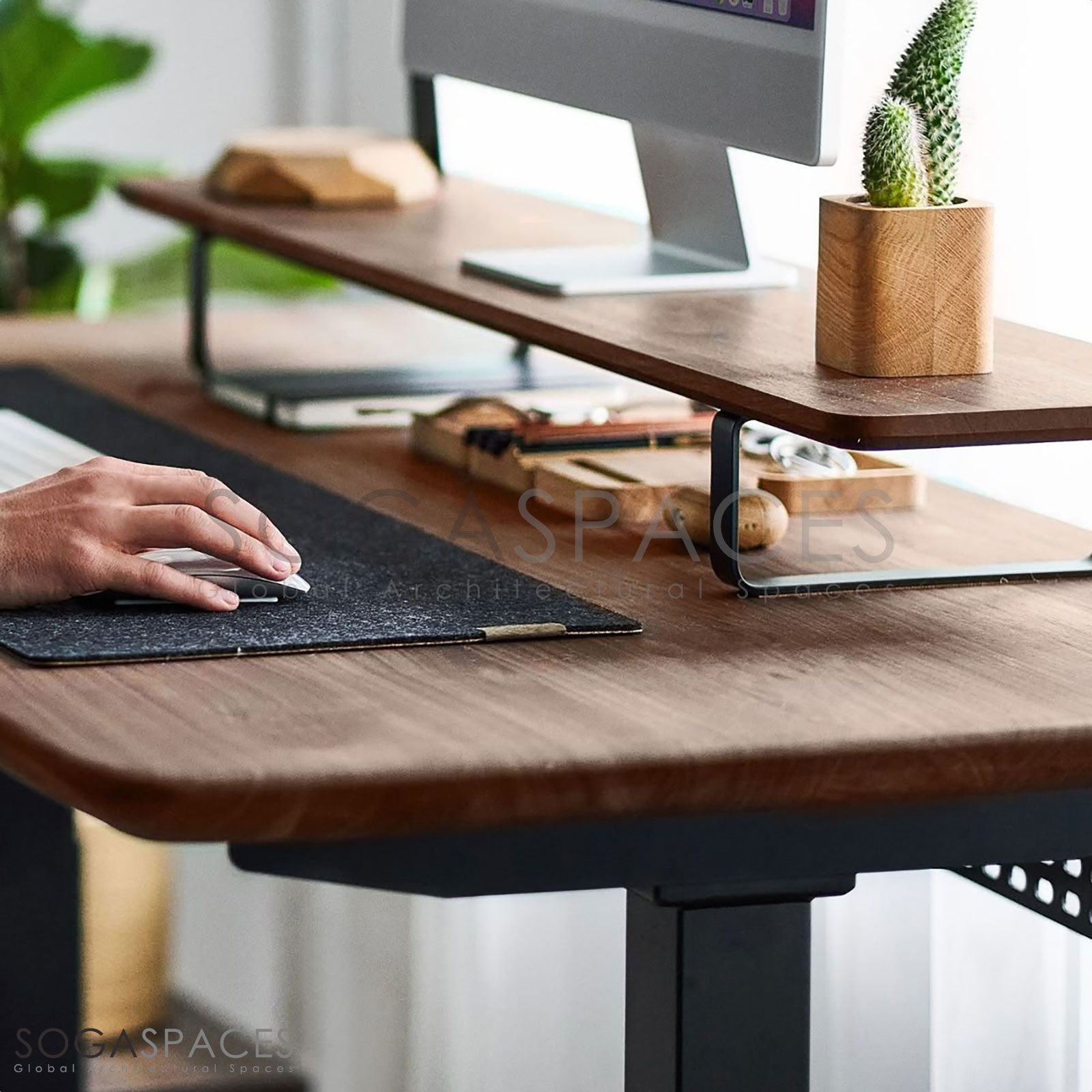 Regula Desk Solid V - Elektrikli Yüksekliği Ayarlanabilir Açılı Kesim Kenar Masif Ceviz Çalışma Masası - Görsel 2