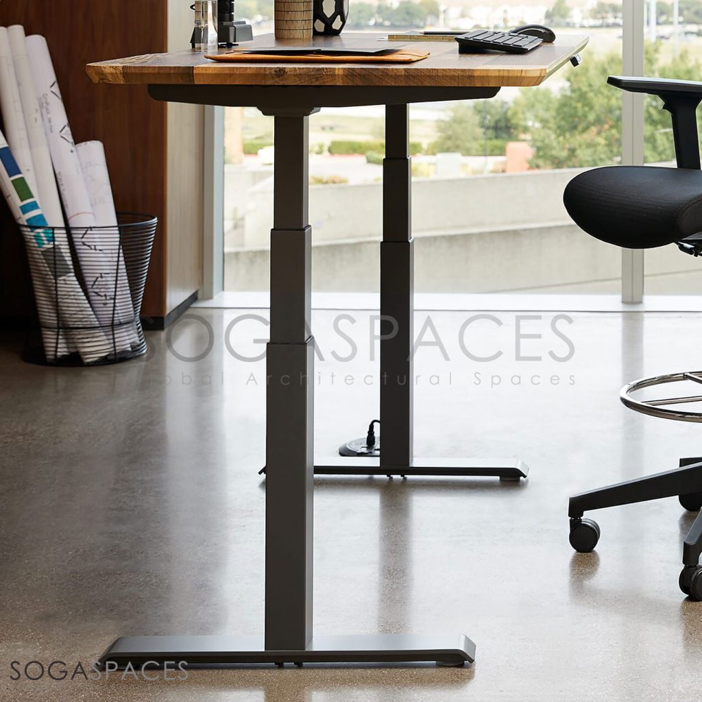 Regula Desk Solid V - Elektrikli Yüksekliği Ayarlanabilir Açılı Kesim Kenar Masif Ceviz Çalışma Masası