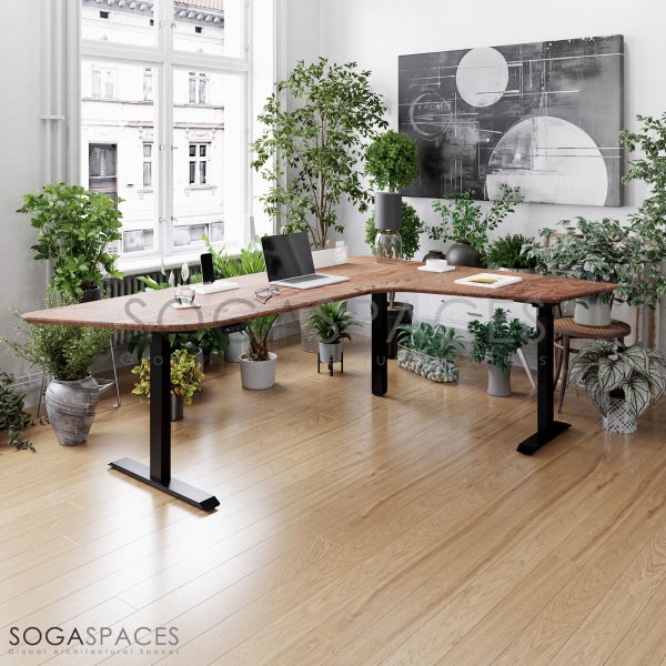 Regula Desk Solid L Type - Elektrikli Yükseklik Ayarlı L Tipi Masif Ceviz Çalışma Masası